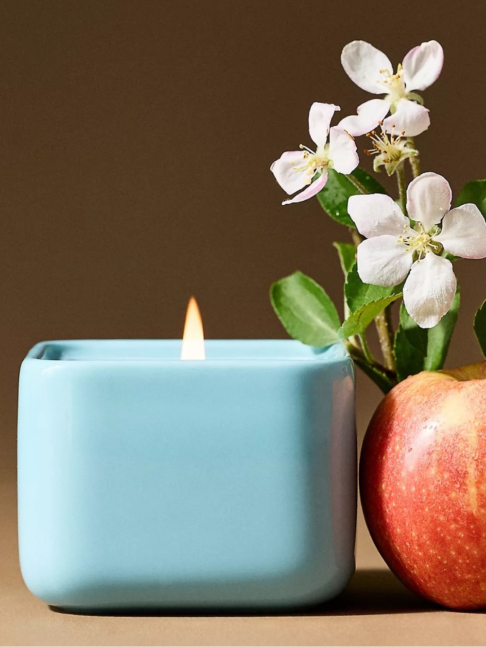 Anthropologie Lucie Cat Fruity Harvest Apple & Vanilla Ceramic Candle with Lid